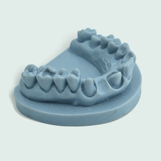 Modelo de impressora 3D Resina 1 frasco (500g)