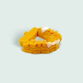 Modelo de impressora 3D Resina 1 frasco (500g) 