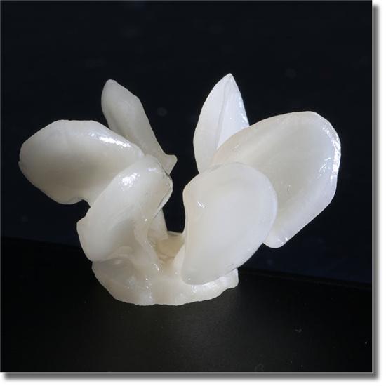 Glass ceramic Ingot (Press Lithium disilicate)——HT/LT(10 pieces)