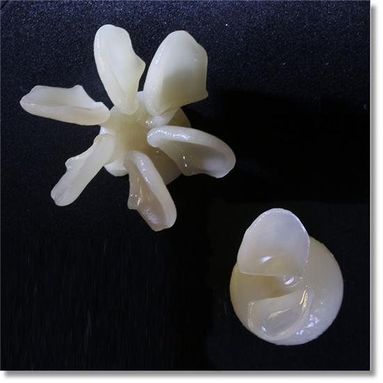 Lingote de cerâmica de vidro (dissilicato de lítio de prensa) —— HT/LT (20 peças)